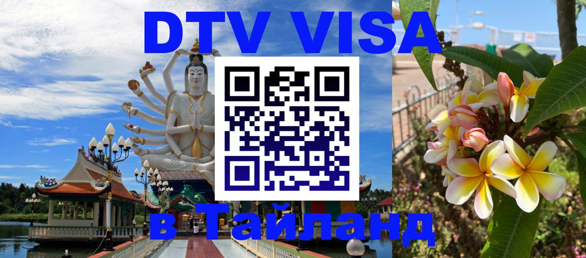 Сколько стоит DTV виза — актуальные цены, оформление даже без документов - 07.01.2026 